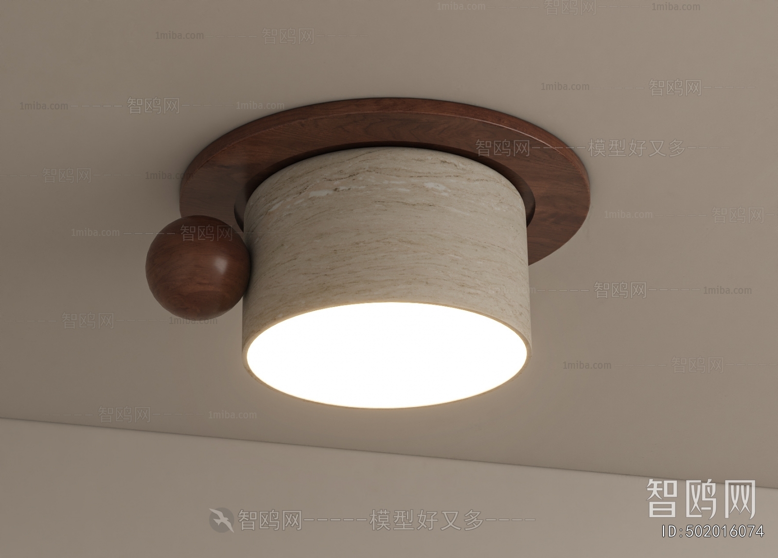 Modern Ceiling Ceiling Lamp
