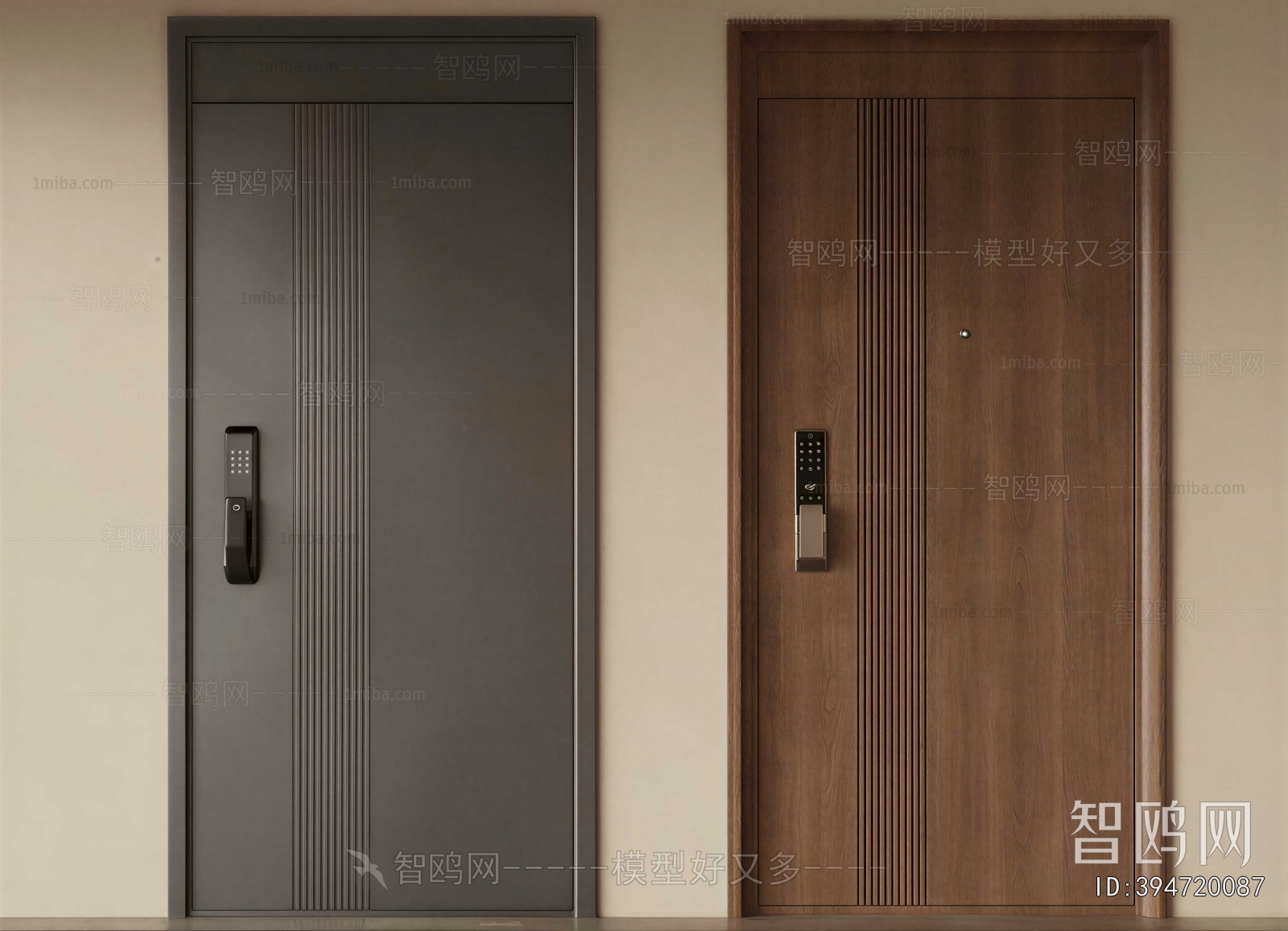 Modern Single Door