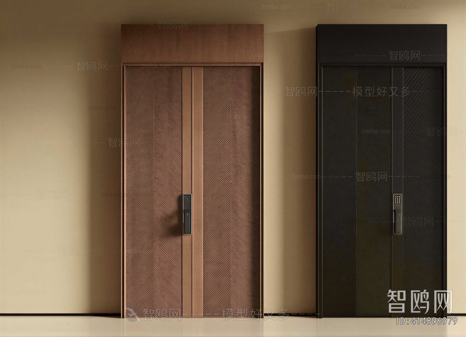 Modern Entrance Door
