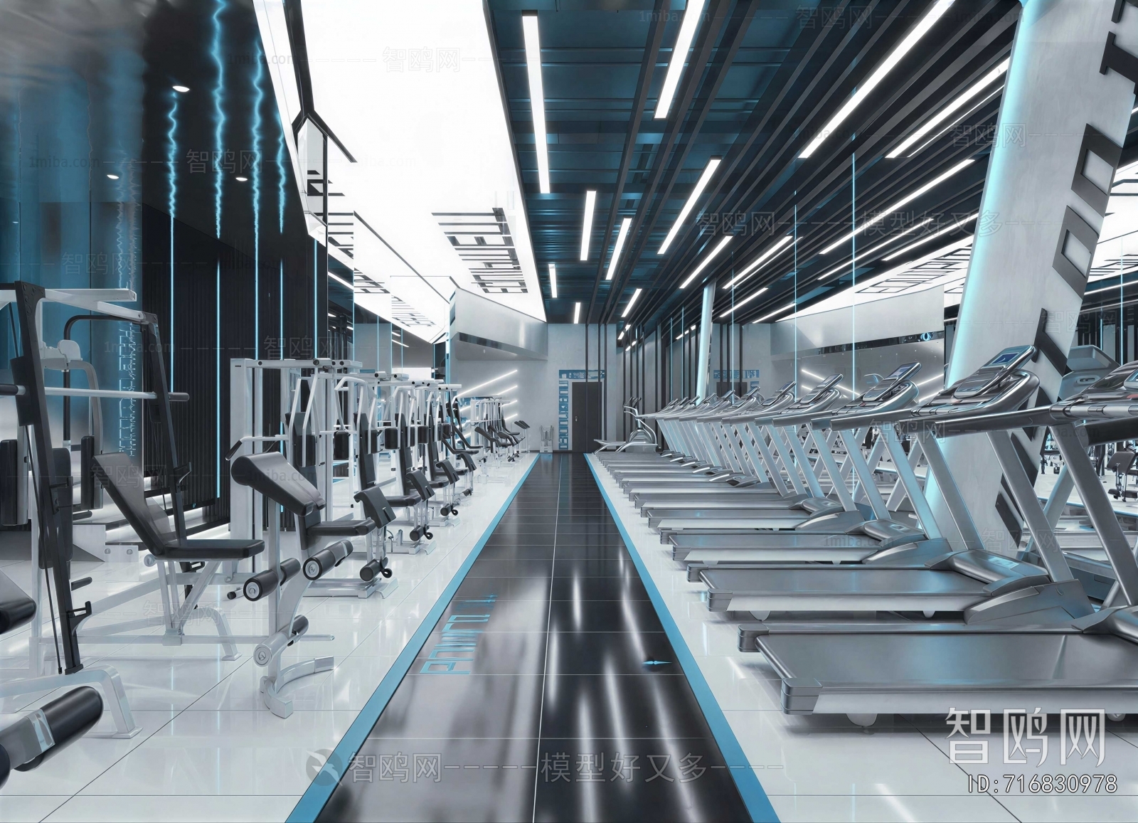Modern Gym
