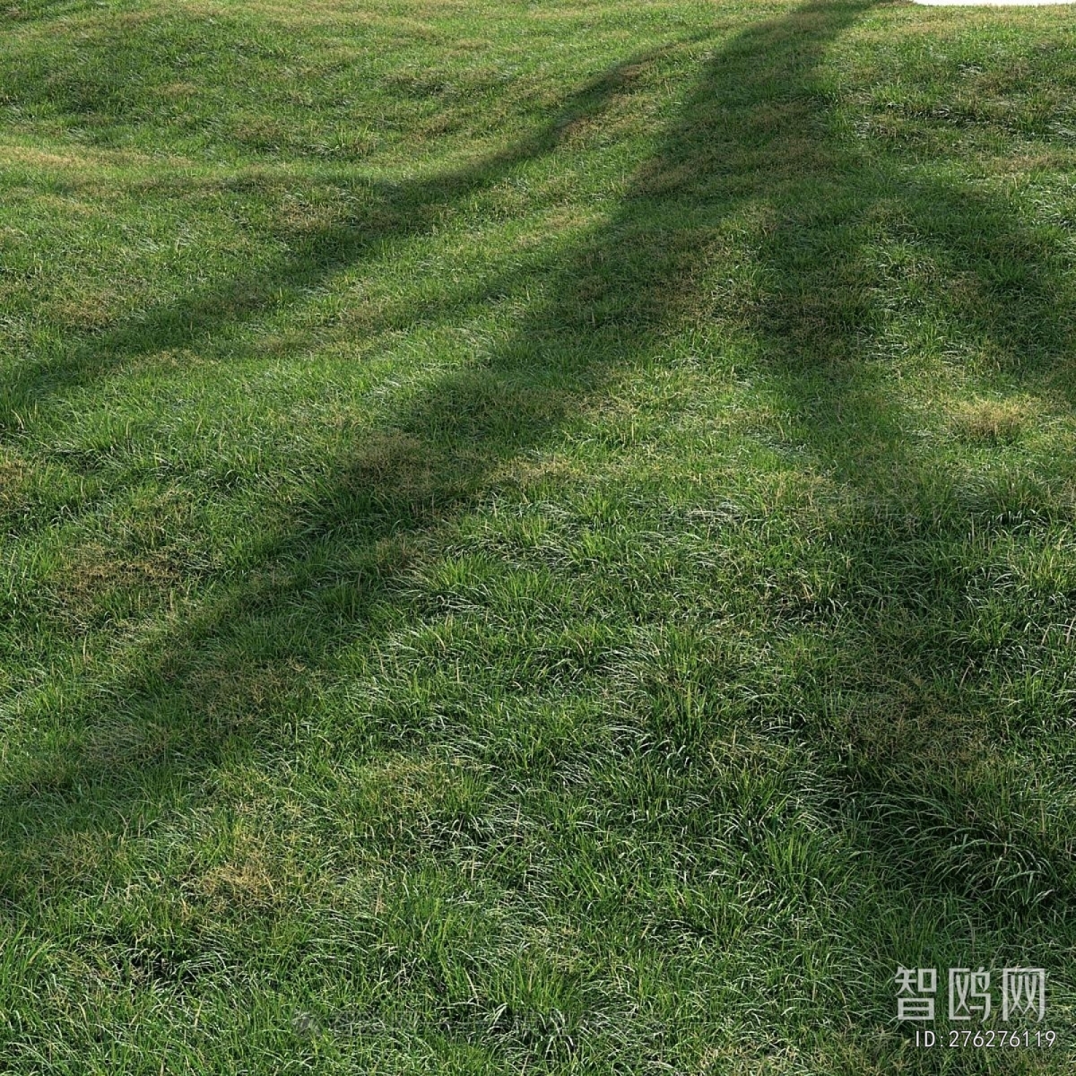 Modern The Grass
