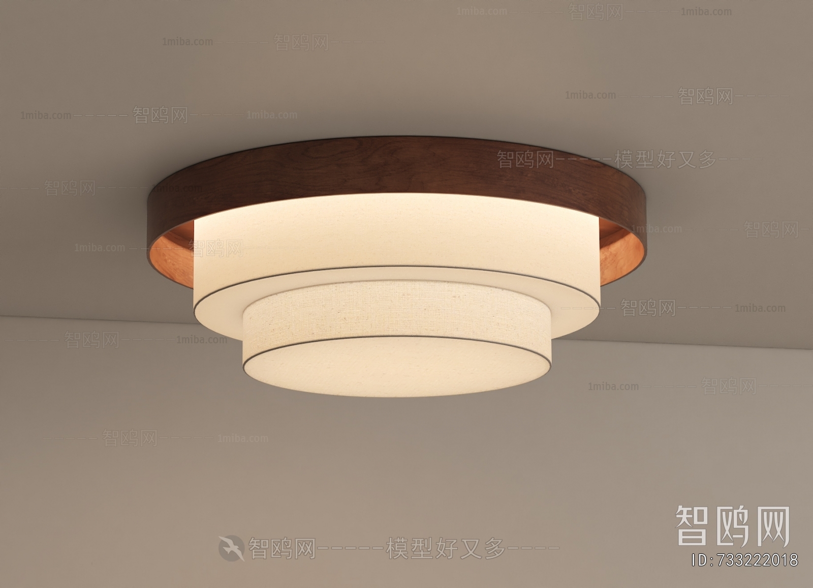 Modern Ceiling Ceiling Lamp