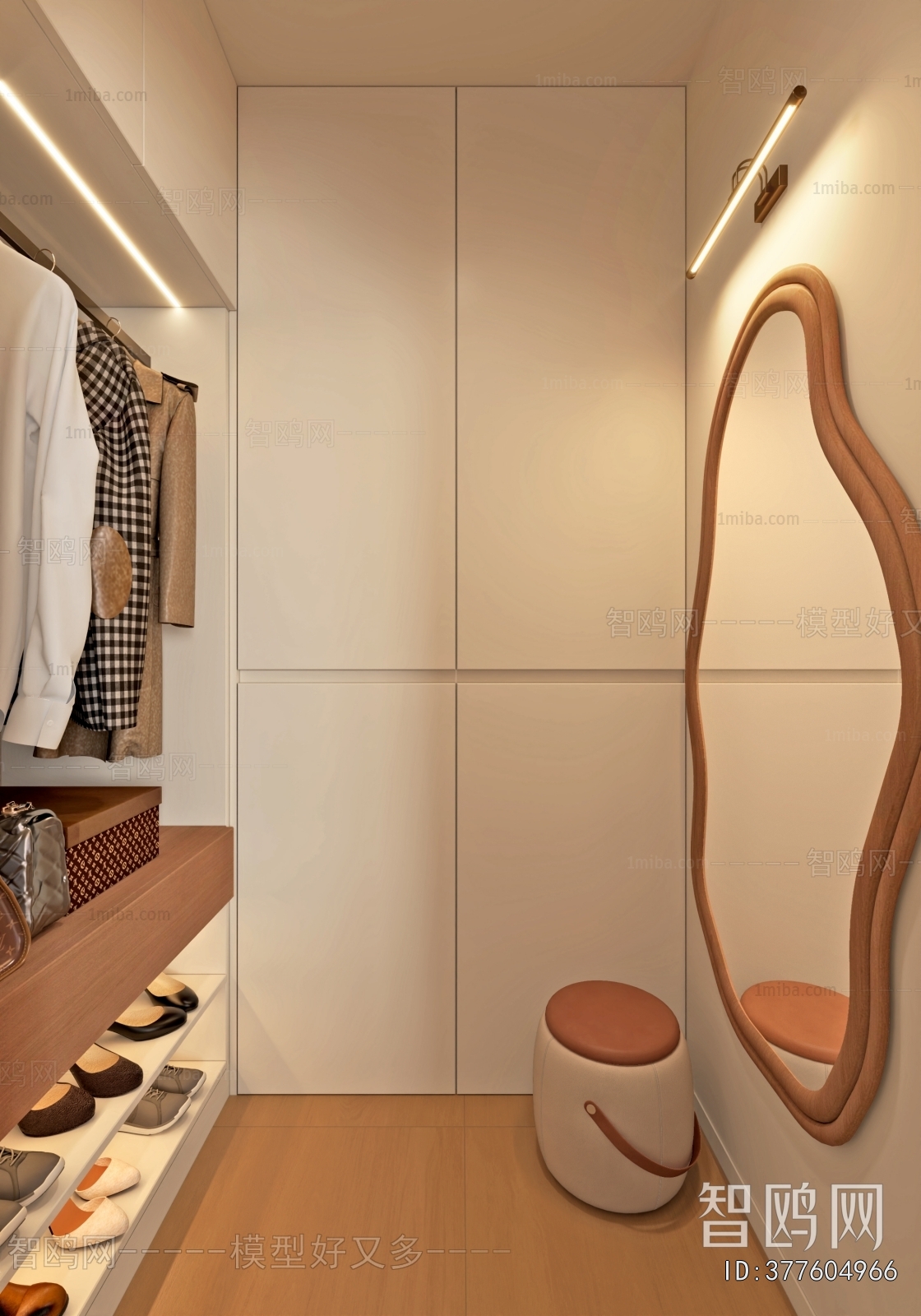 Modern Clothes Storage Area