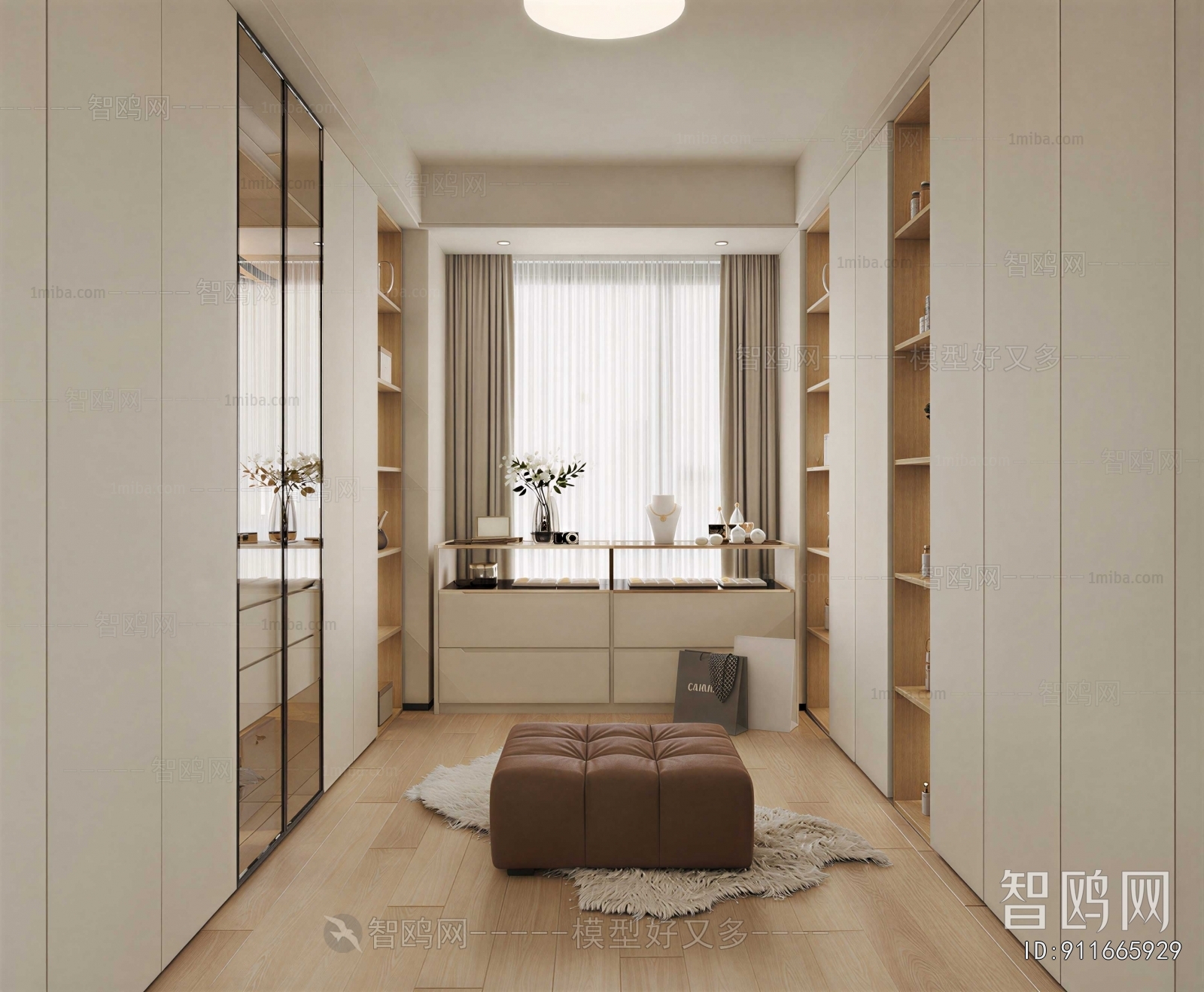 Modern Clothes Storage Area