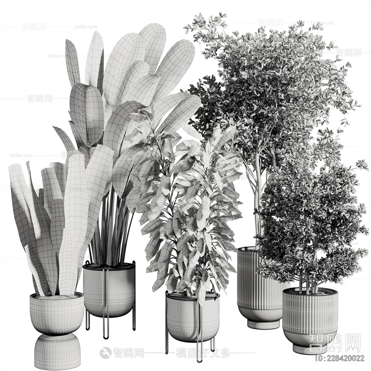Modern Ground Green Plant Potted Plants