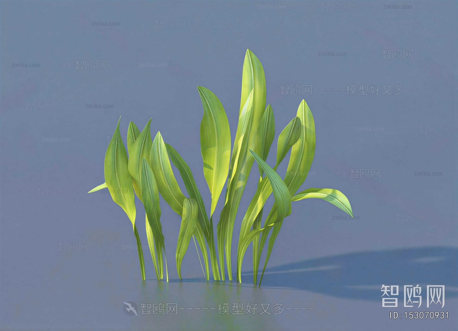 Modern Plant