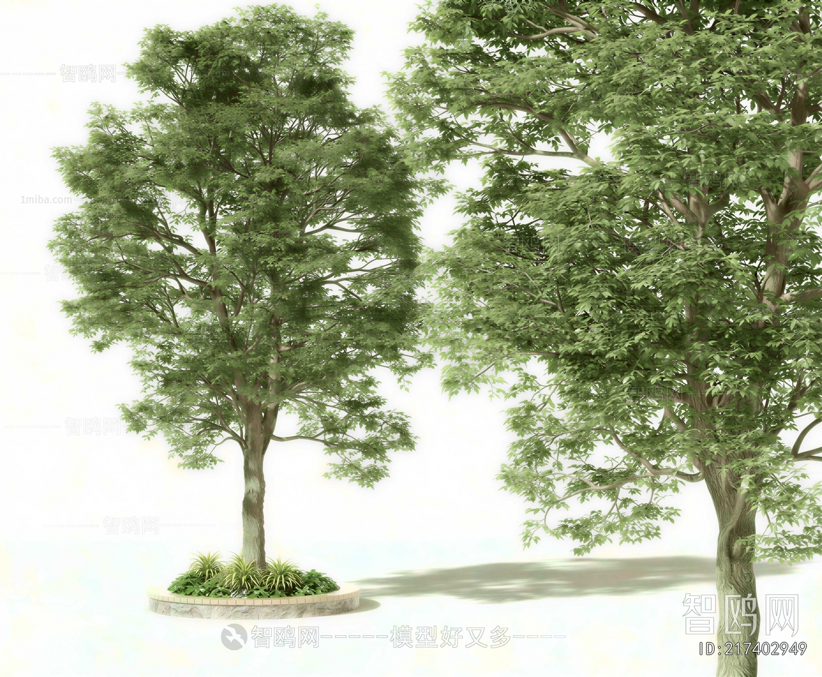 Modern Tree