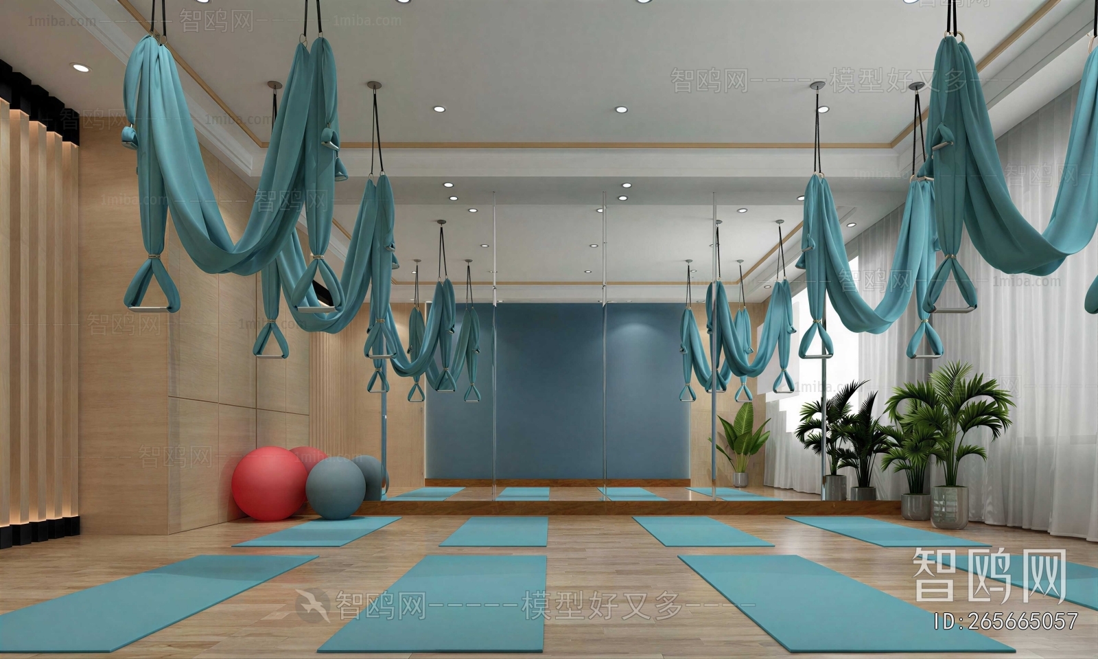 Modern Yoga Room