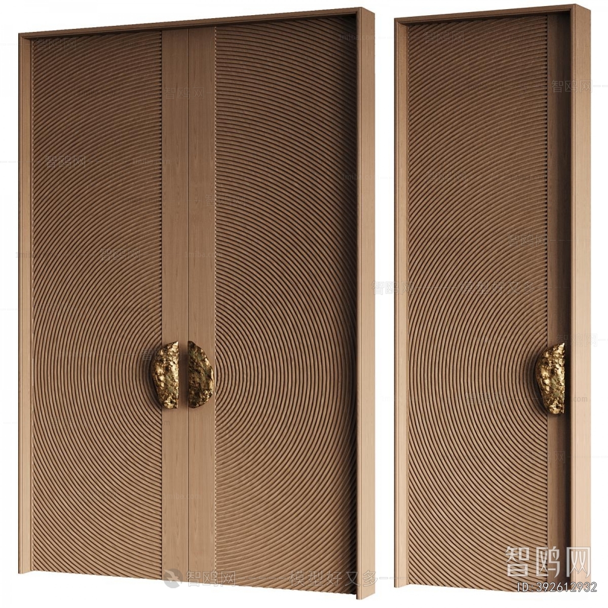 Modern Entrance Door