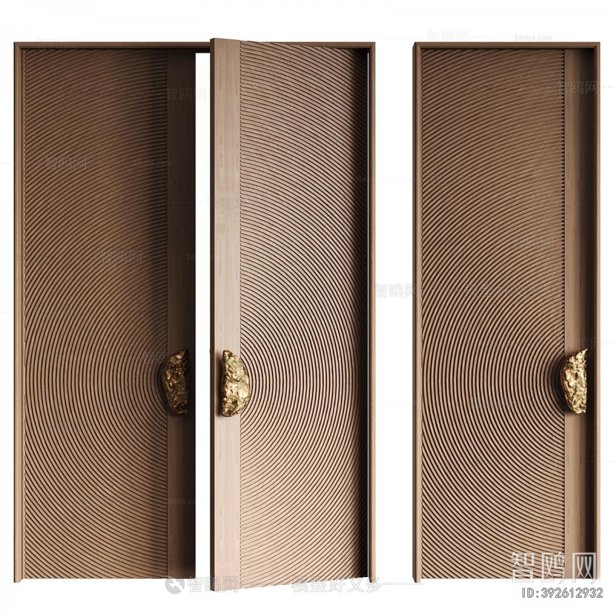 Modern Entrance Door