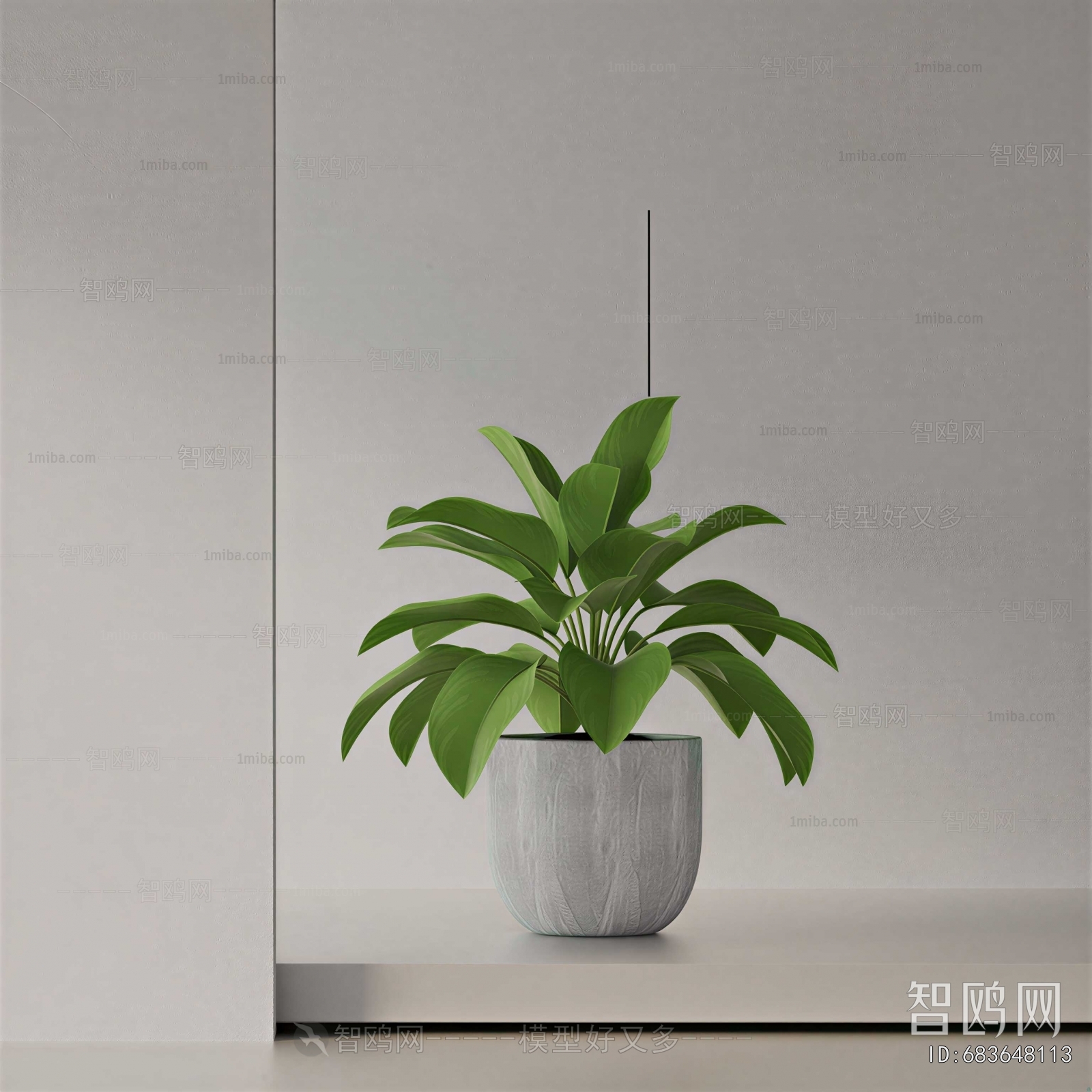 Modern Potted Green Plant