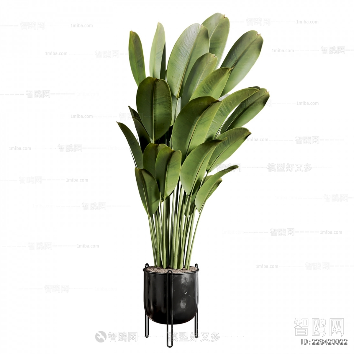 Modern Ground Green Plant Potted Plants
