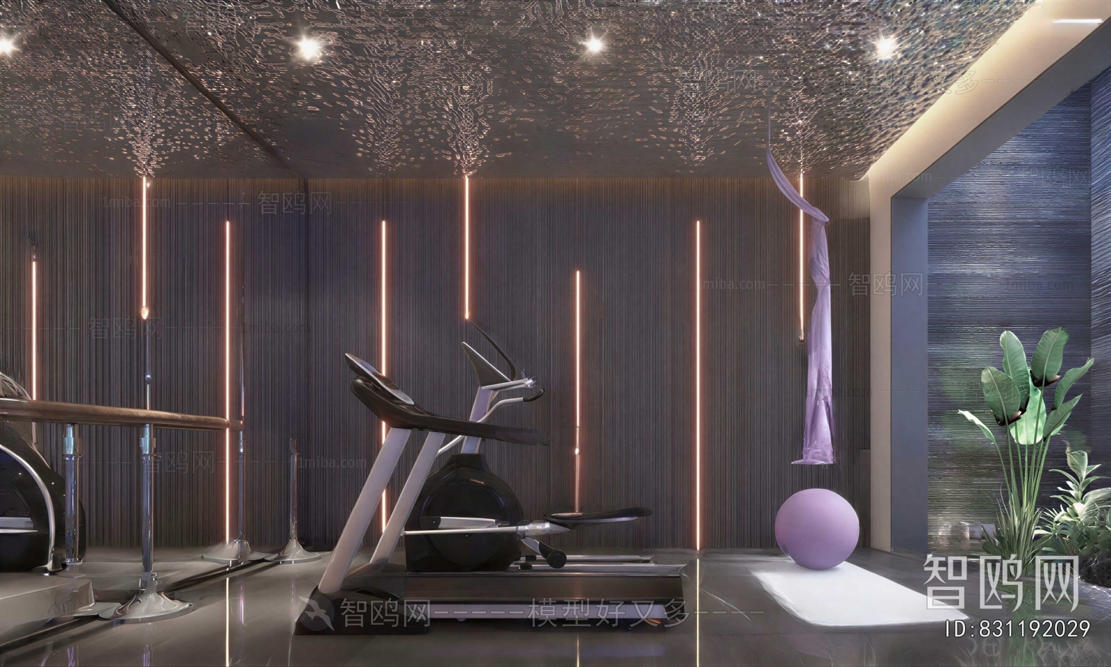 Modern Home Fitness Room
