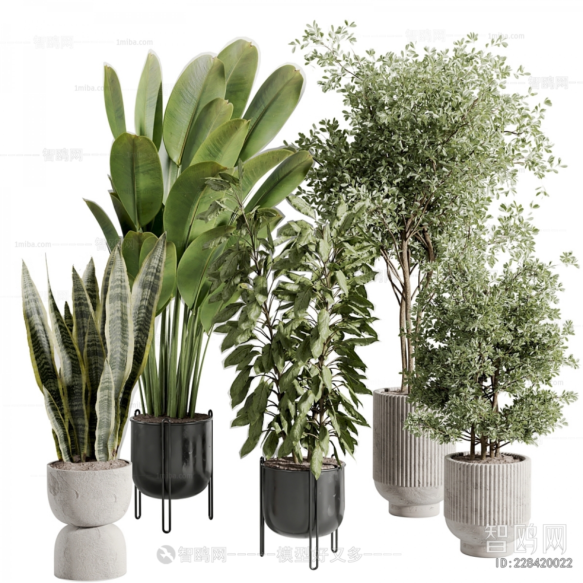 Modern Ground Green Plant Potted Plants