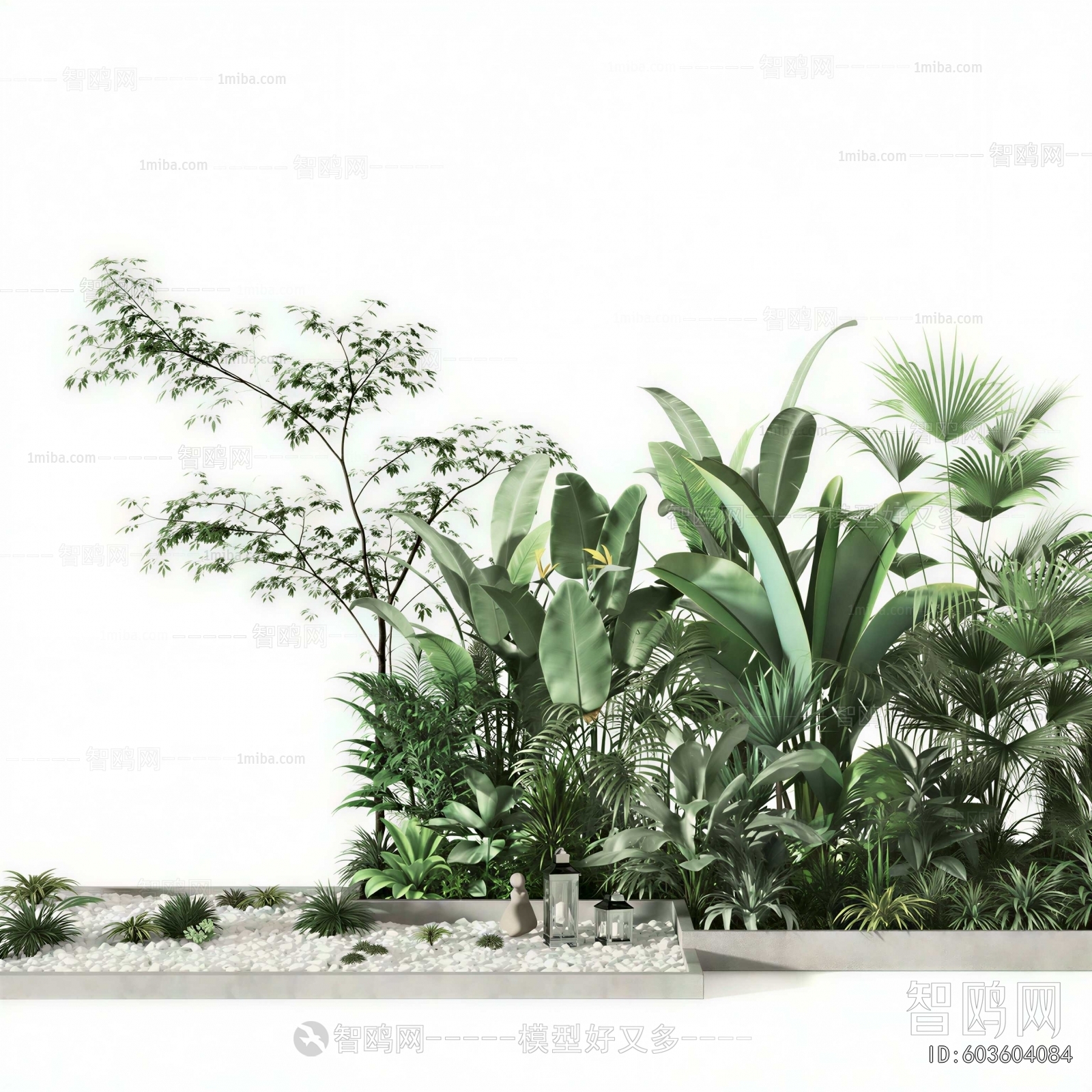 Modern Plant Landscaping