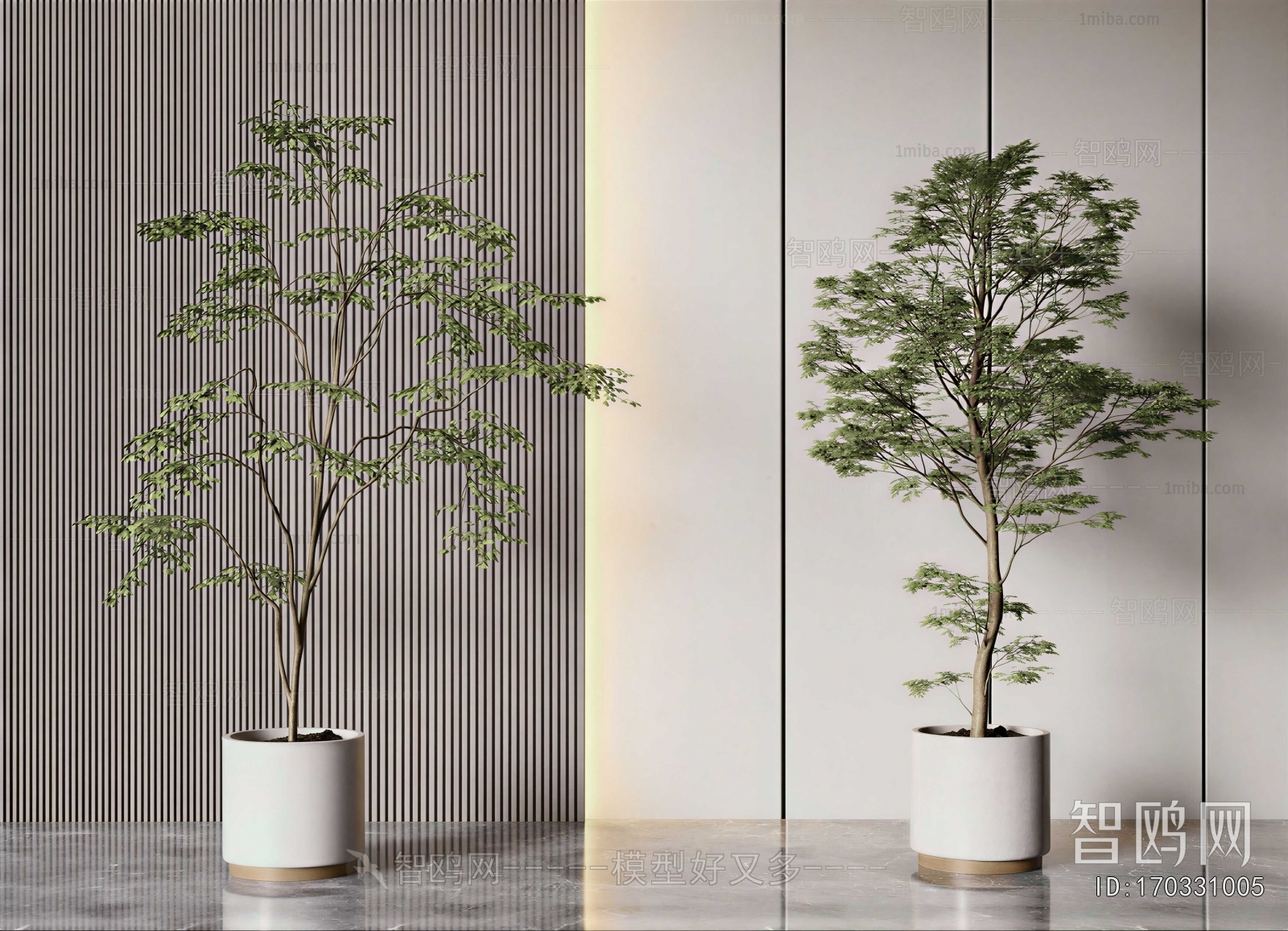 Modern Potted Green Plant