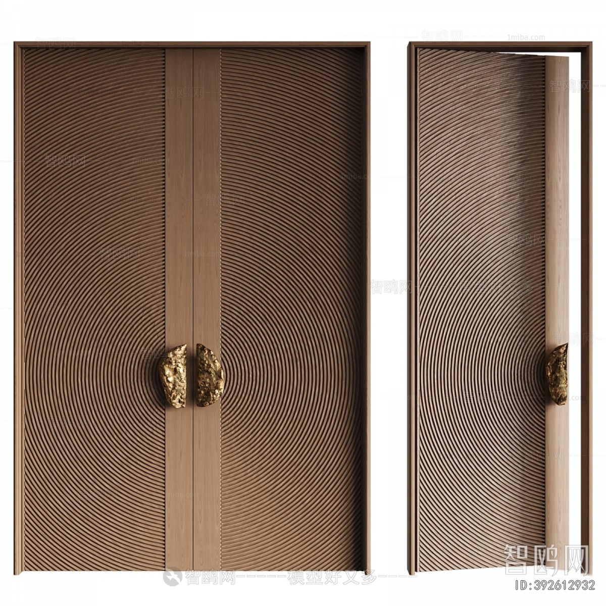 Modern Entrance Door