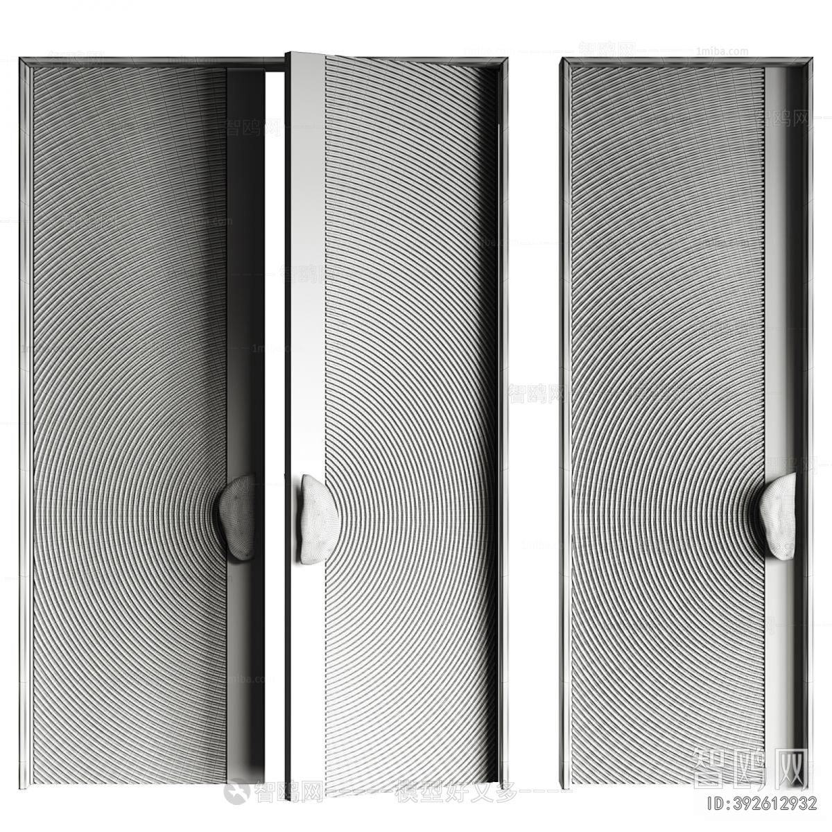 Modern Entrance Door