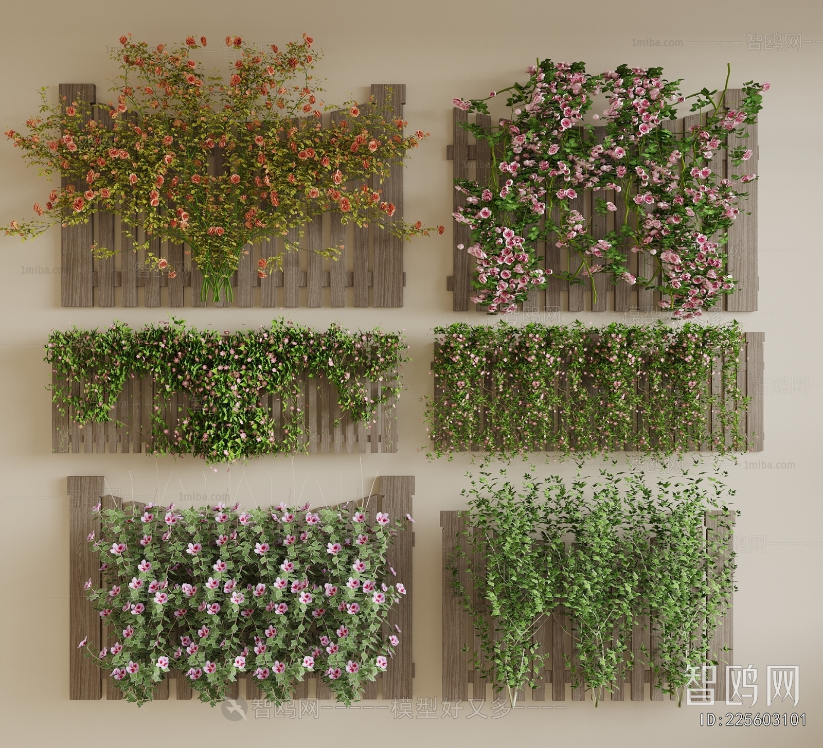 Modern Vine