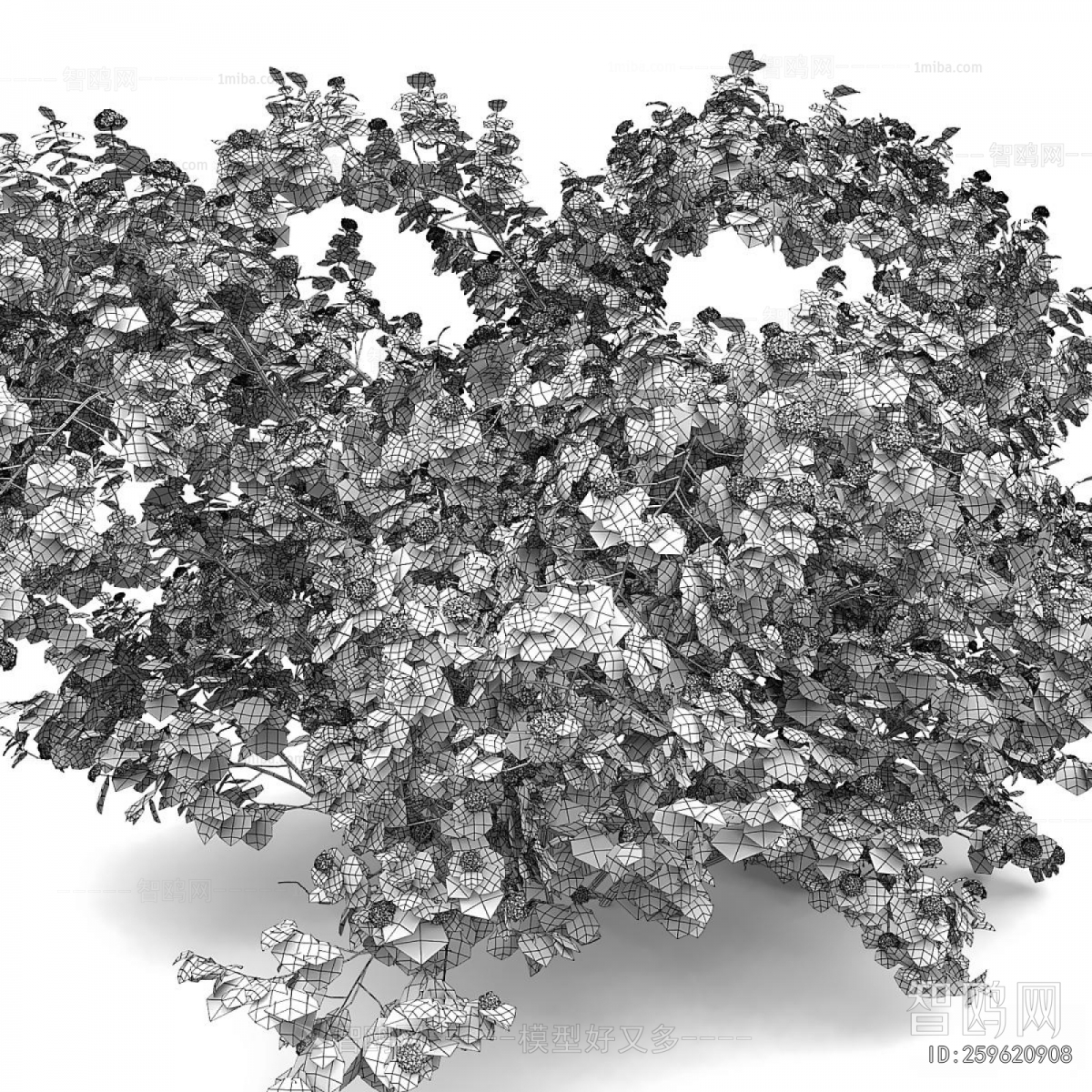 Modern Shrubbery