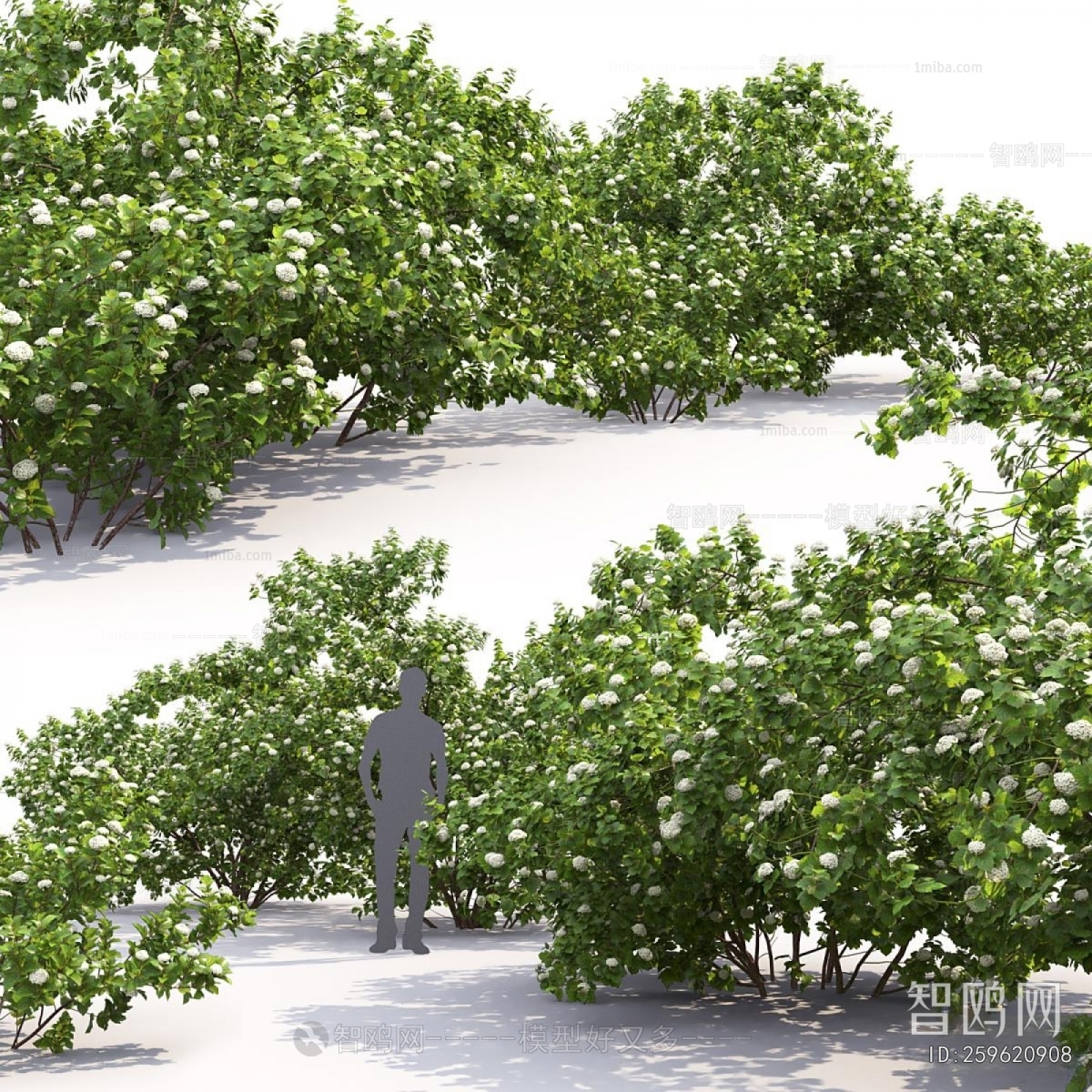 Modern Shrubbery