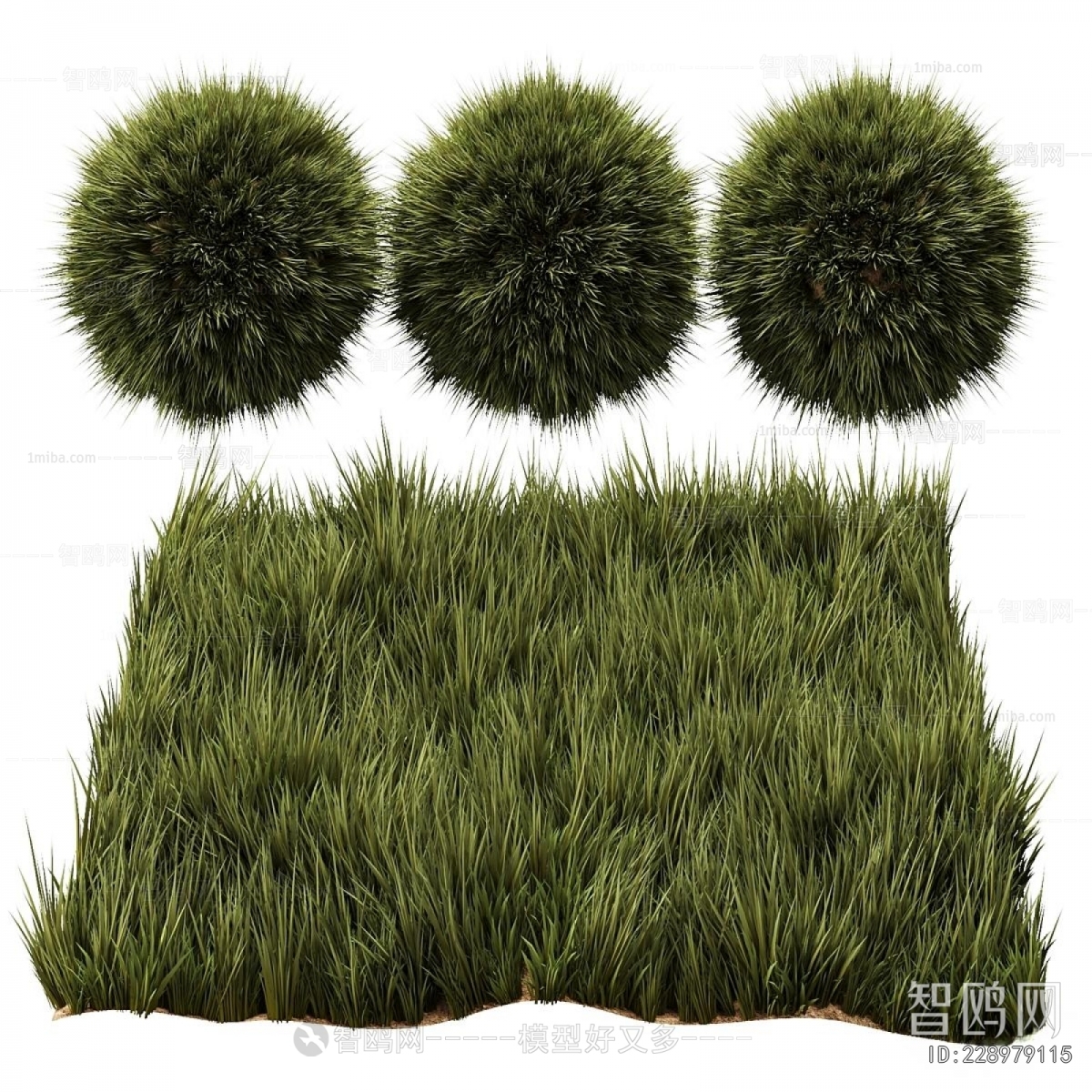 Modern The Grass