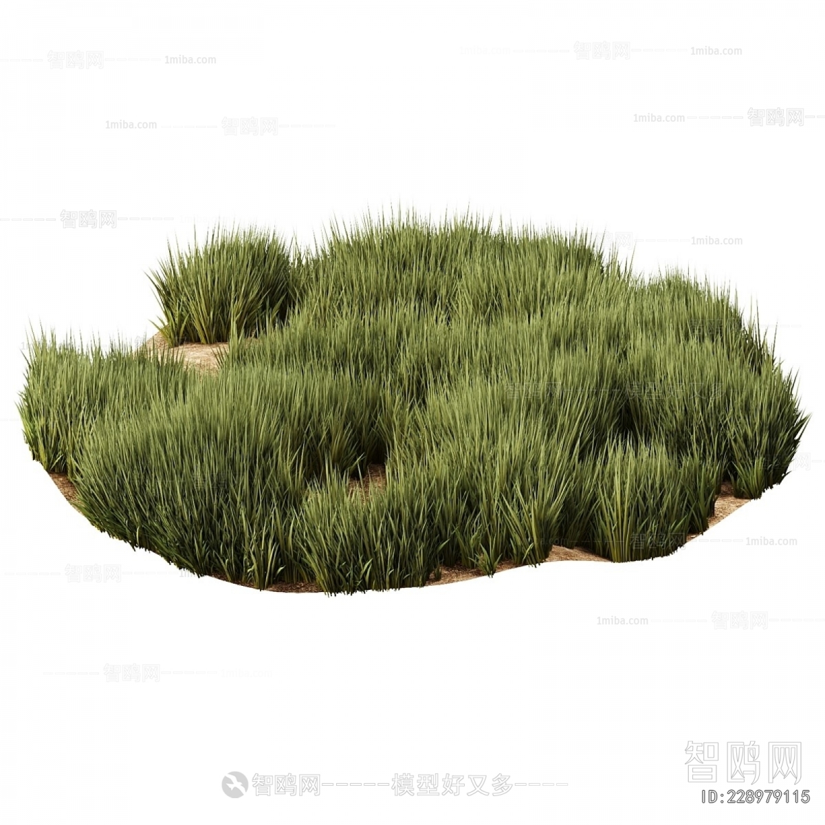 Modern The Grass