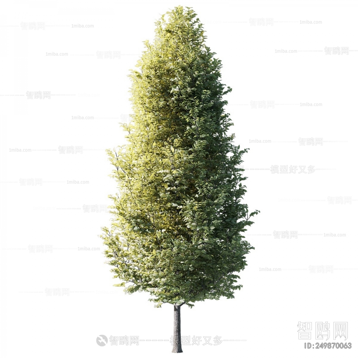 Modern Tree