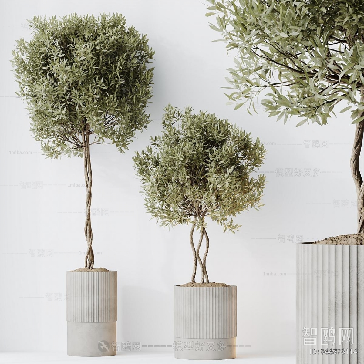 Modern Ground Green Plant Potted Plants