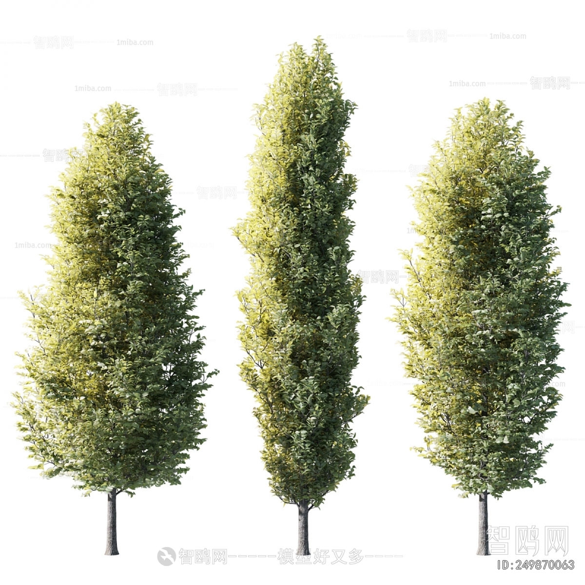 Modern Tree