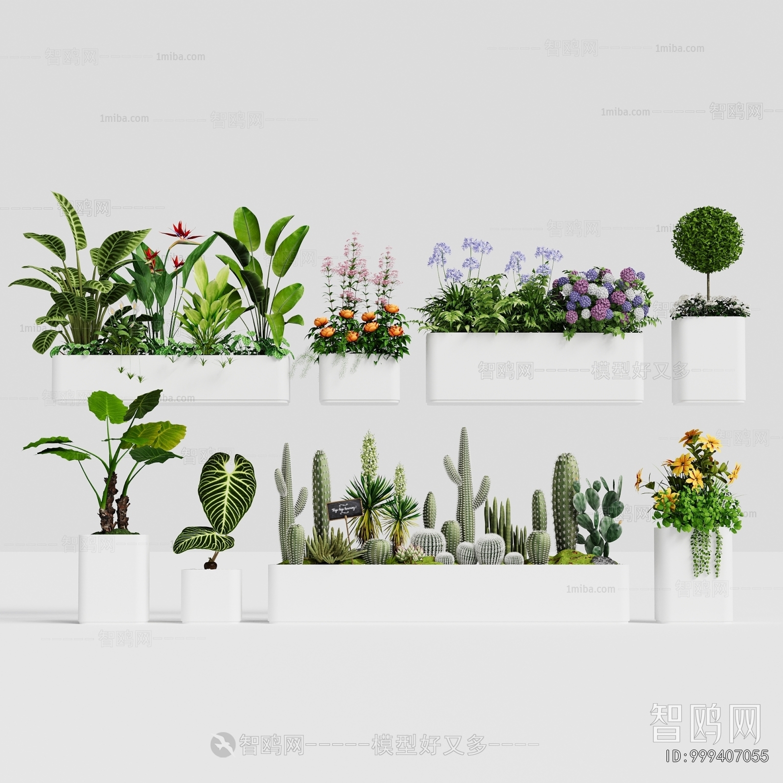 Modern Flower Bed, Flower Bowl, Flower Box