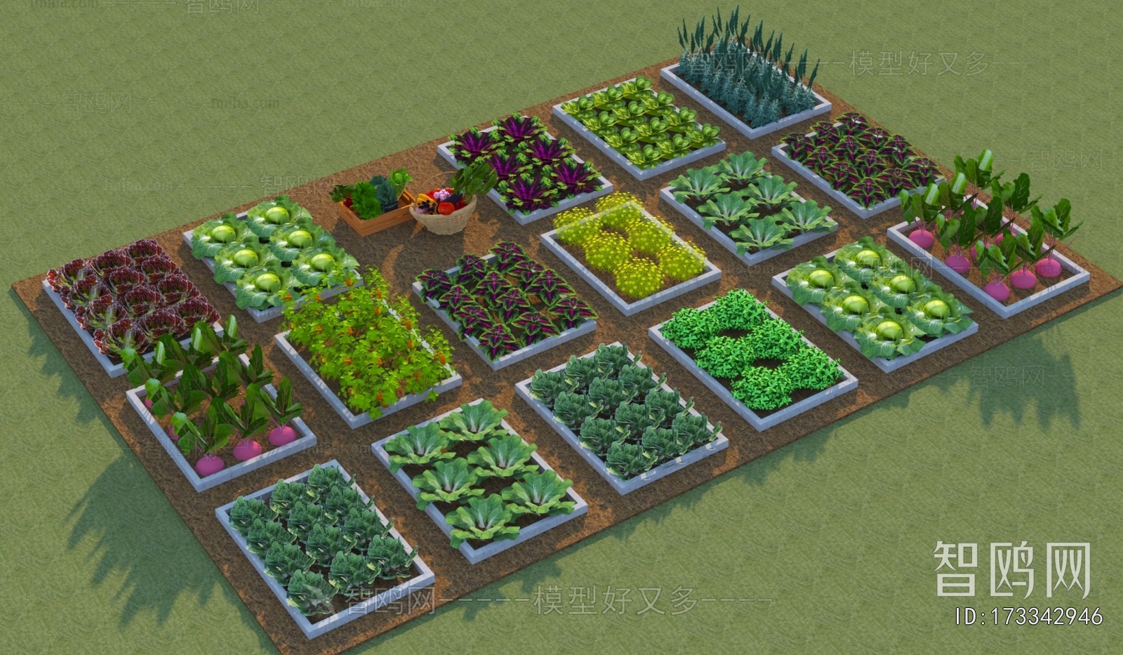 Modern Crop