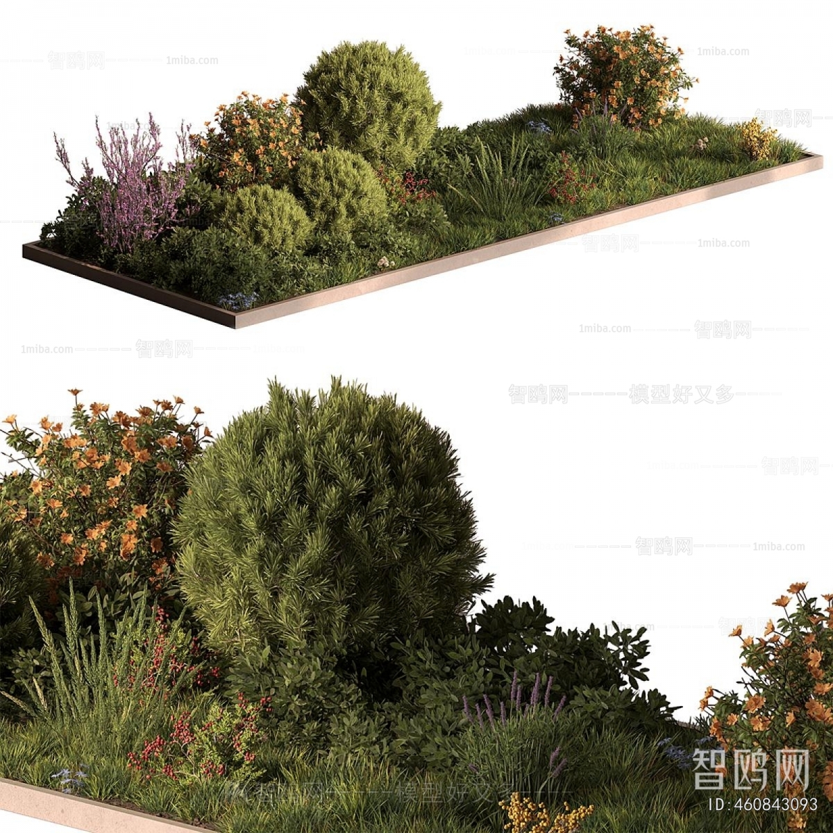 Modern Flower Bed, Flower Bowl, Flower Box