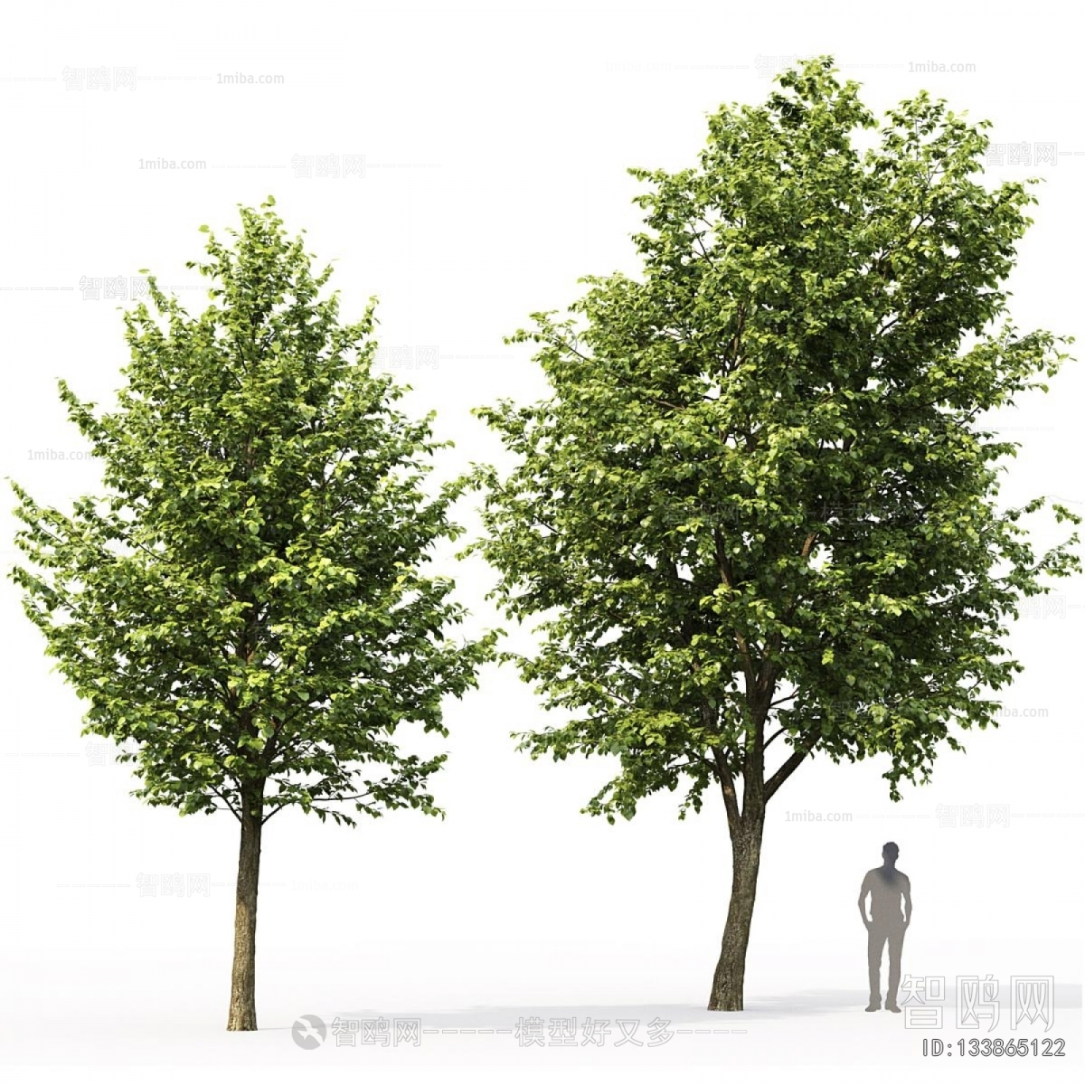 Modern Tree