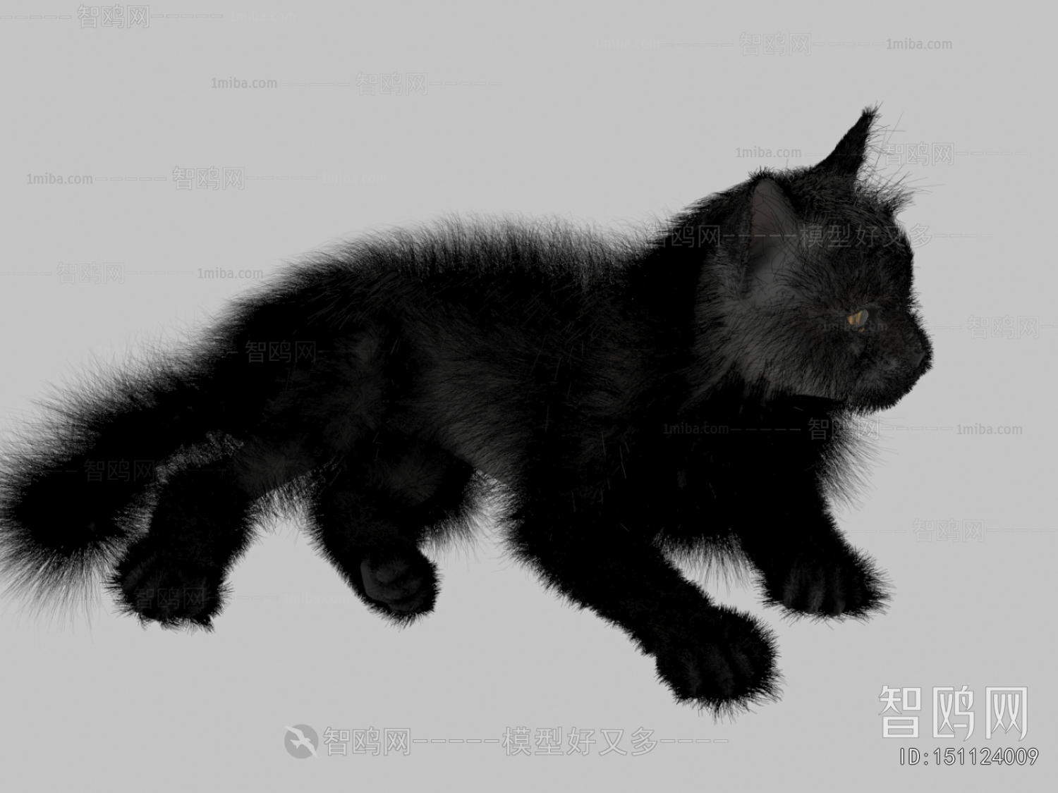 Modern Animal Cat