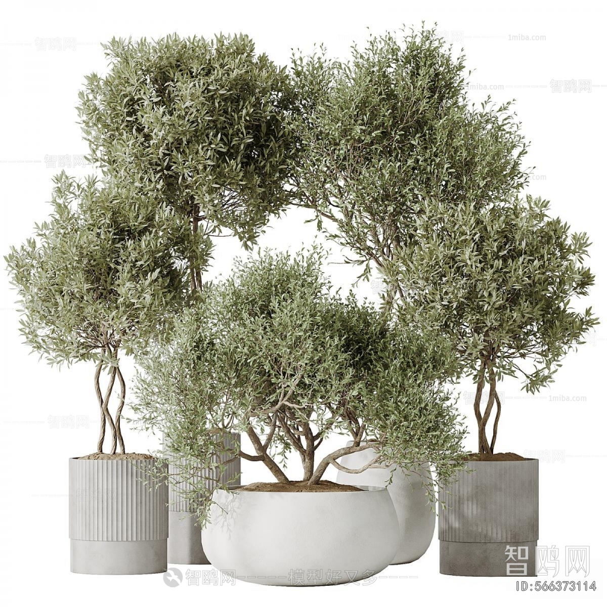 Modern Ground Green Plant Potted Plants