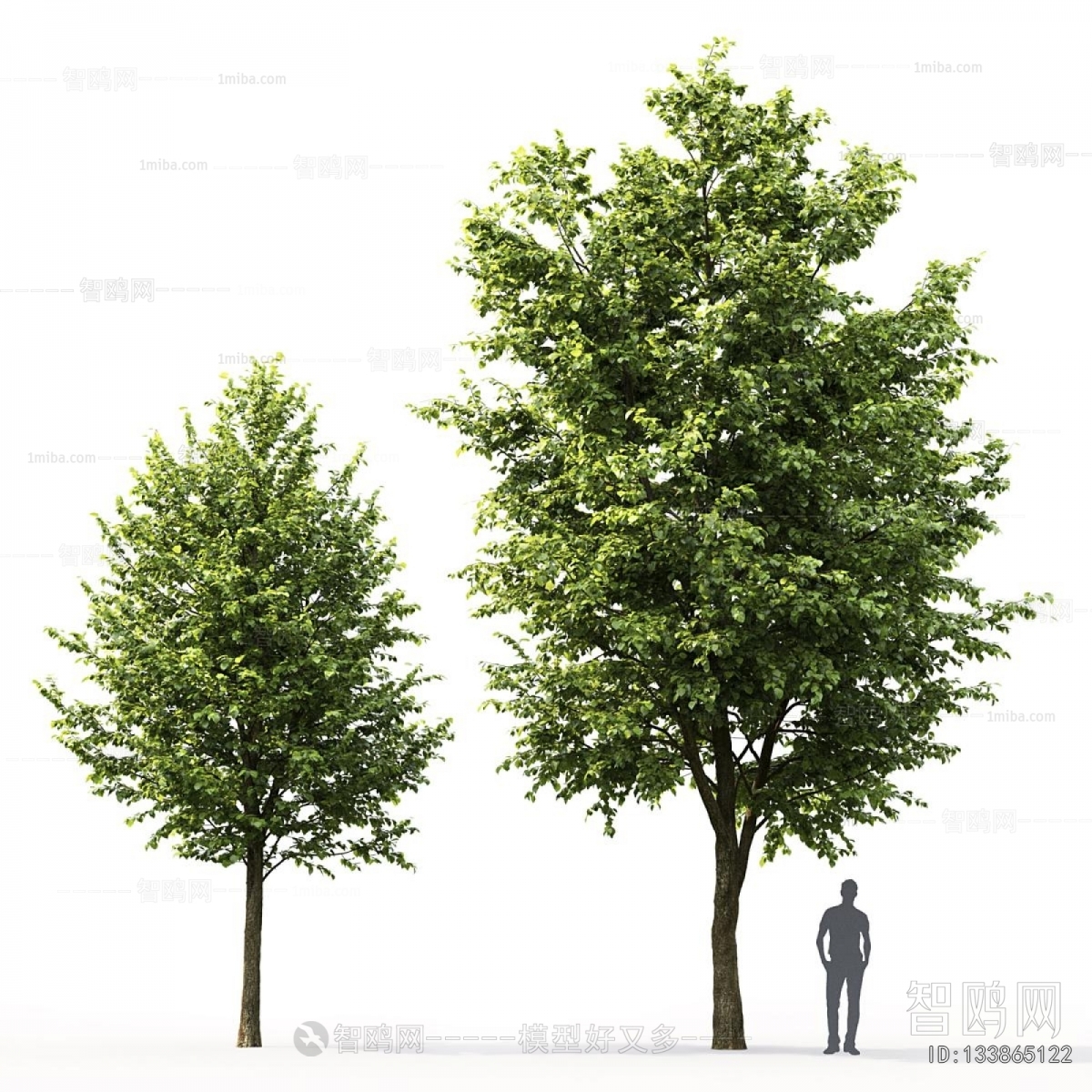 Modern Tree