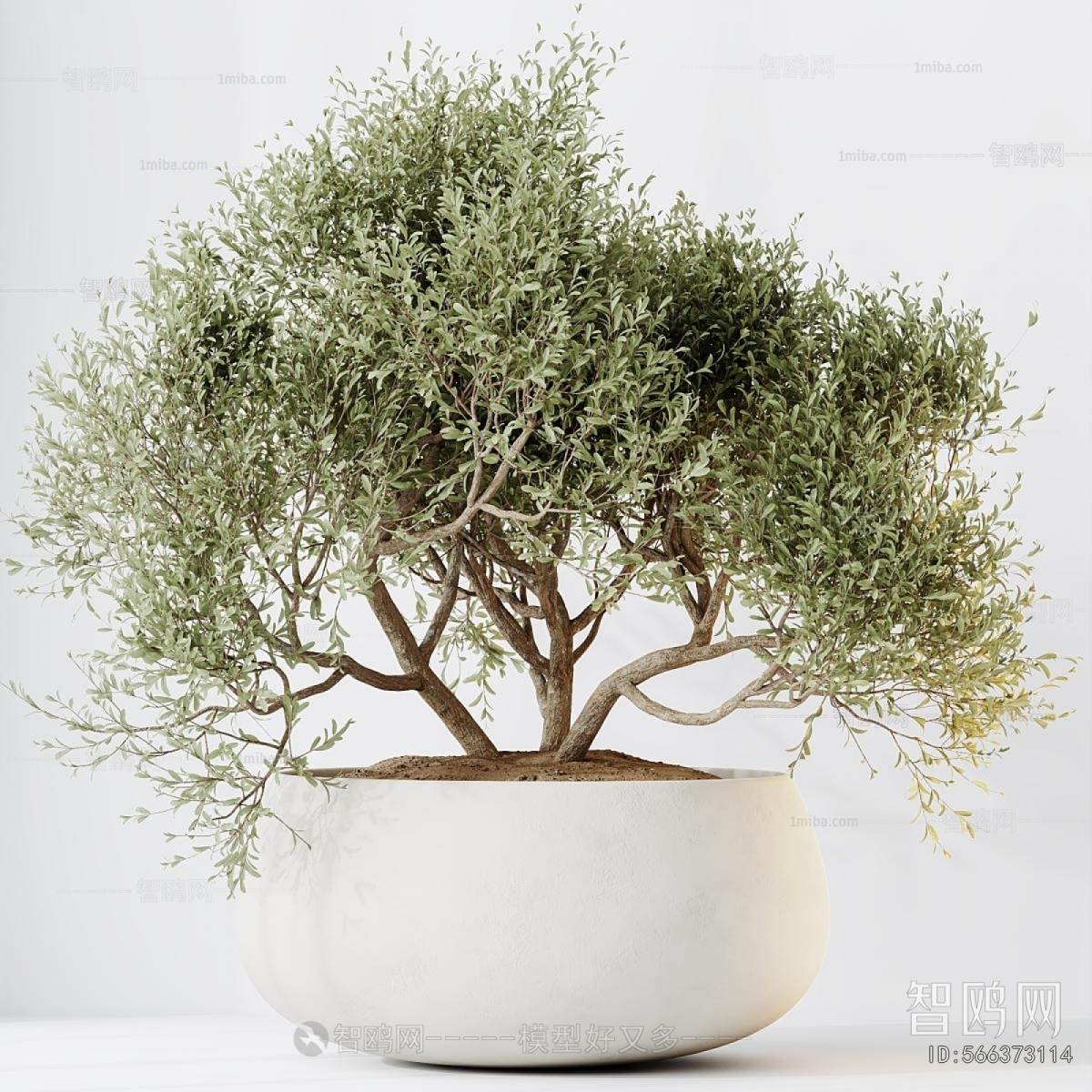 Modern Ground Green Plant Potted Plants