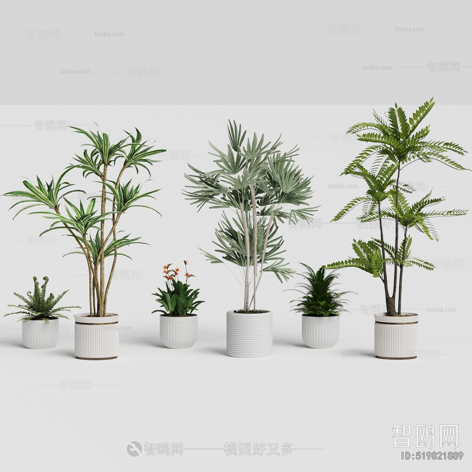 Modern Ground Green Plant Potted Plants