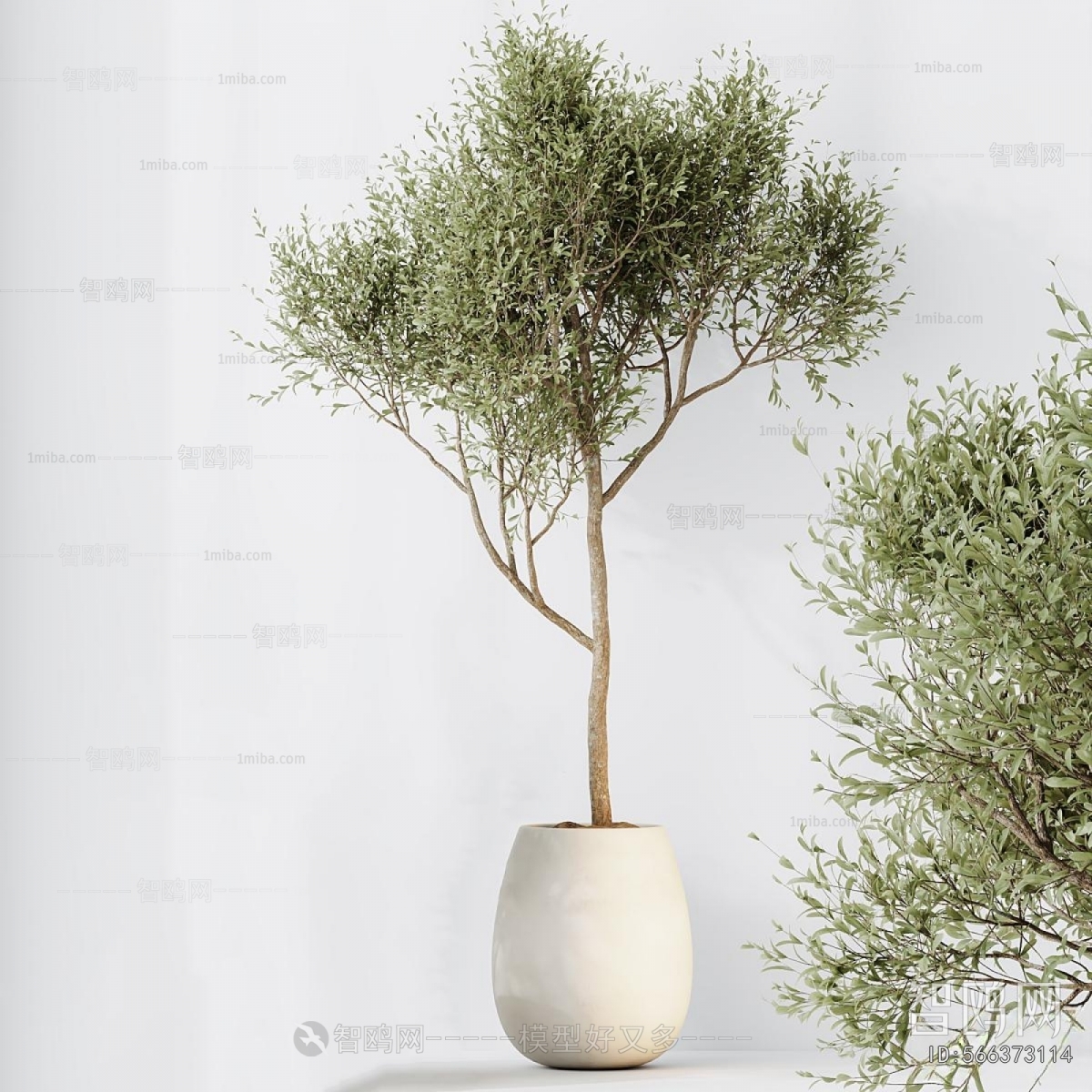 Modern Ground Green Plant Potted Plants