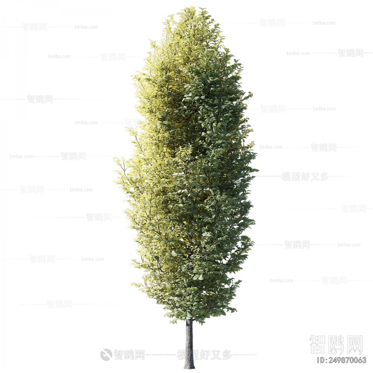 Modern Tree