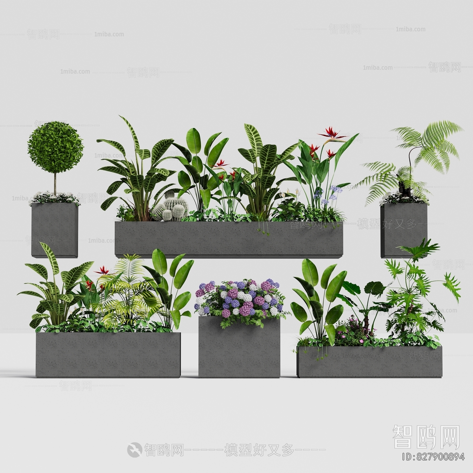 Modern Flower Bed, Flower Bowl, Flower Box