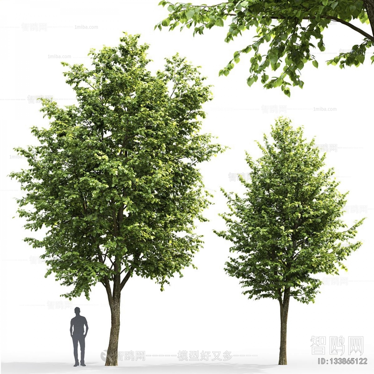 Modern Tree