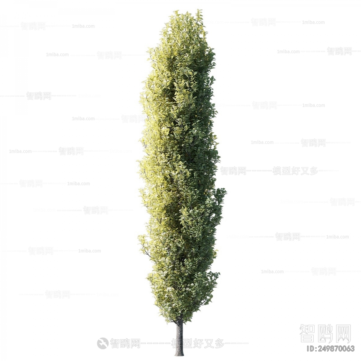 Modern Tree