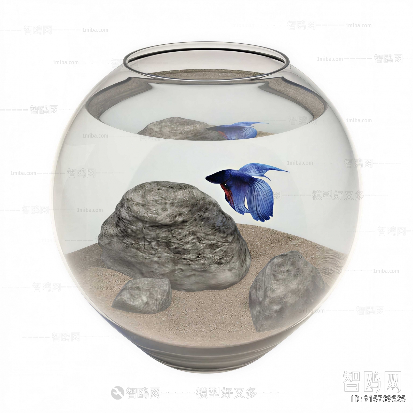 Modern Fish Tank
