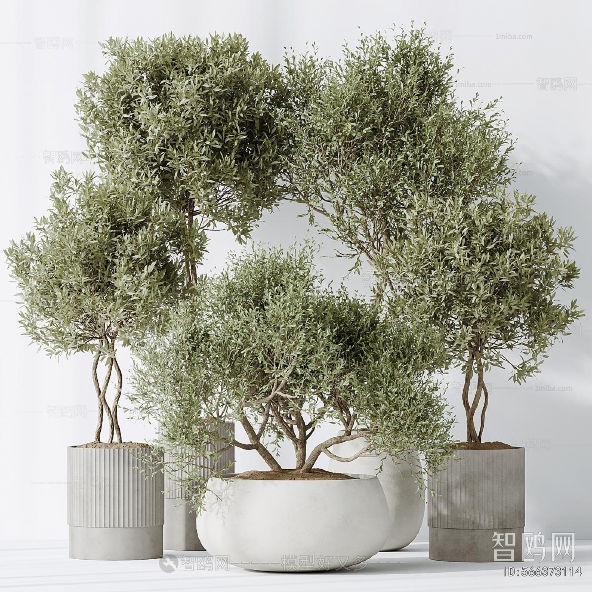 Modern Ground Green Plant Potted Plants