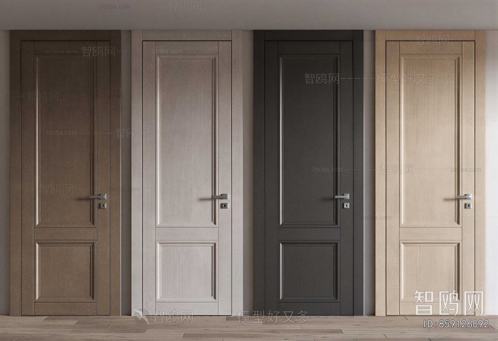 Modern Door