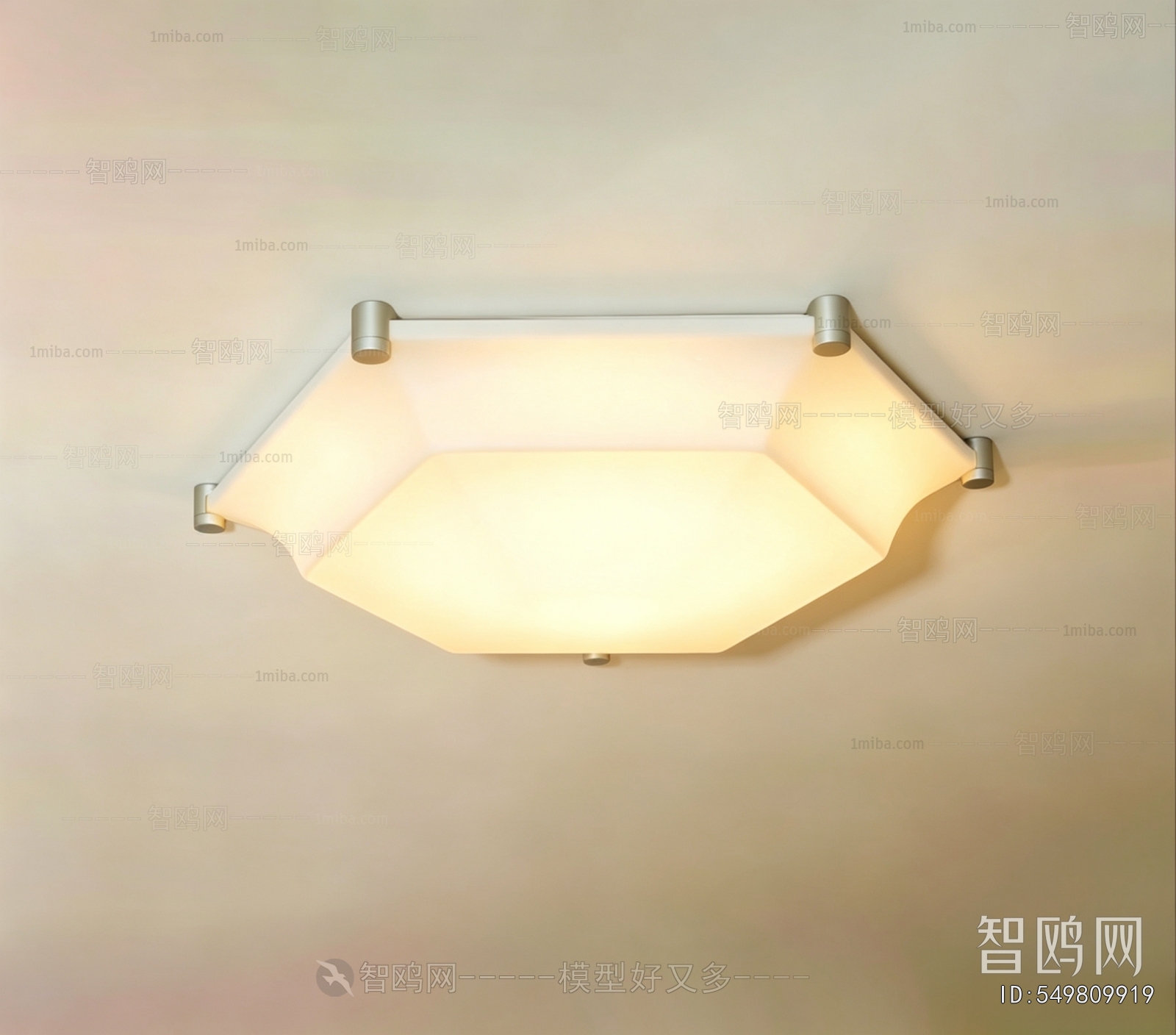 Modern Ceiling Ceiling Lamp