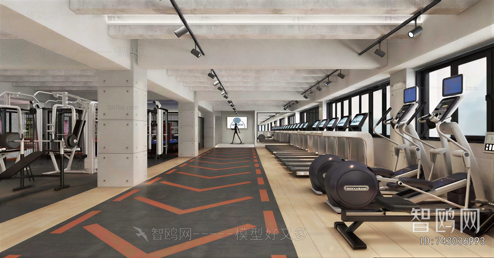 Modern Home Fitness Room