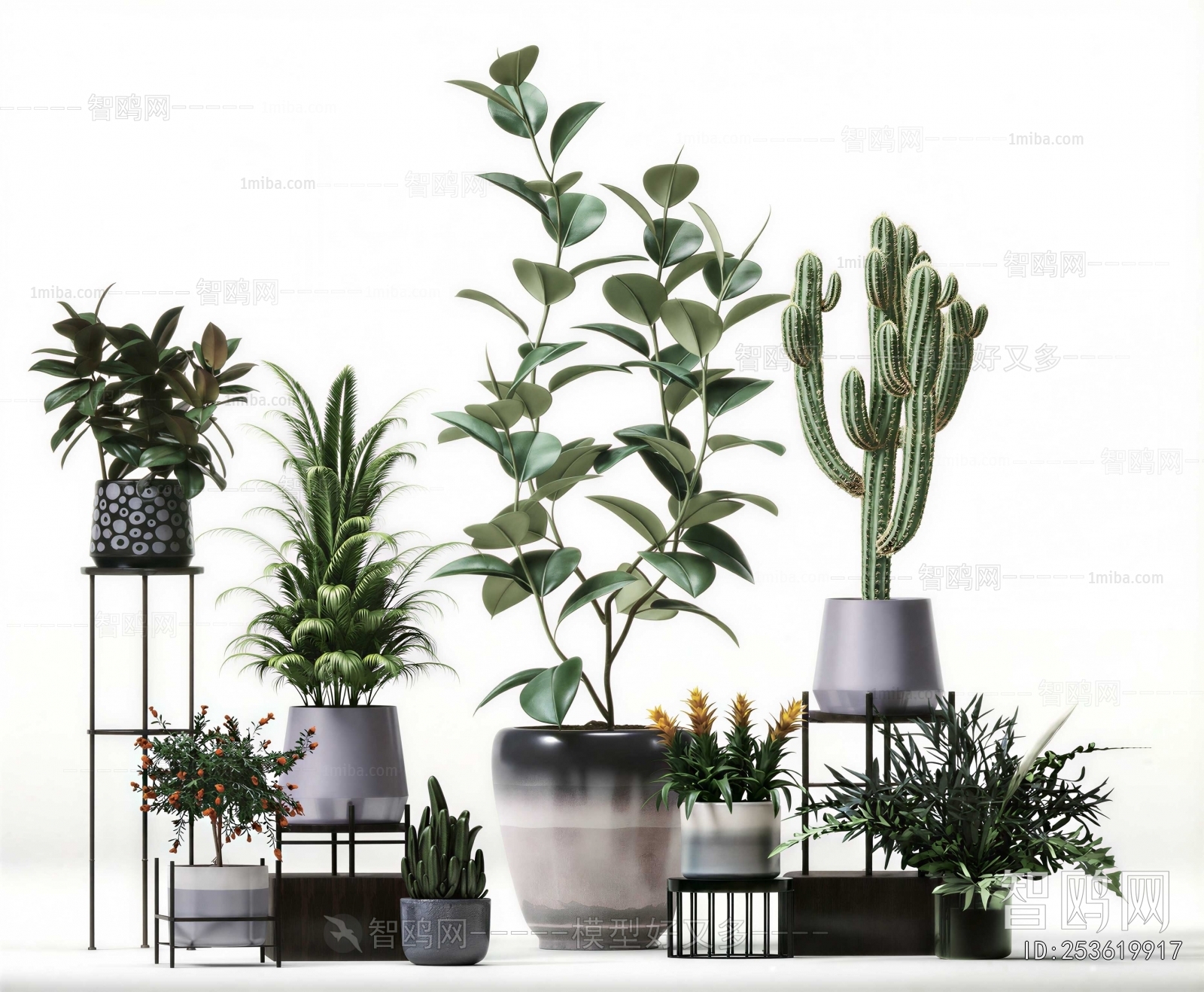 Modern Potted Green Plant